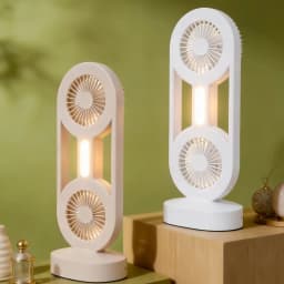 Dual head desktop rechargeable fan with light